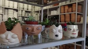 Куда сходить ЦВЕТОВОДУ в Санкт-Петербурге / Магазины РАСТЕНИЙ, кафе, ОРАНЖЕРЕИ и ботанические САДЫ