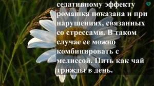 РОМАШКА АПТЕЧНАЯ ГЛАВНОЕ: лечение желудка, кишечника ЖКТ, как пить  рецепты , кому нельзя чай польз