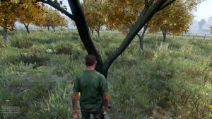 Гайд по DAYZ (Где добыть еду) №1
