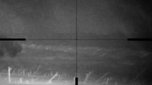 ОХОТА ЗИМОЙ / КАБАН С ЗАСИДКИ / НОЧНИК PARD