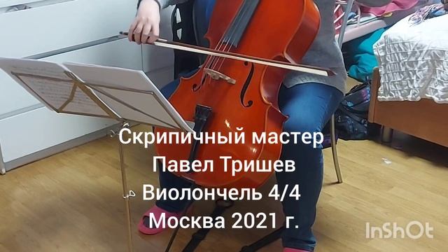 Виолончель 4/4 – скрипичный мастер Павел Тришев – Москва 2021 г.