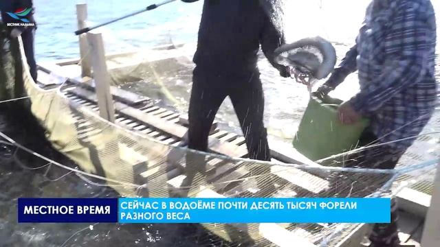 В НАДЫМЕ ПОЯВИЛОСЬ НЕОБЫЧНОЕ ХОЗЯЙСТВО – ФОРЕЛЕВАЯ ФЕРМА