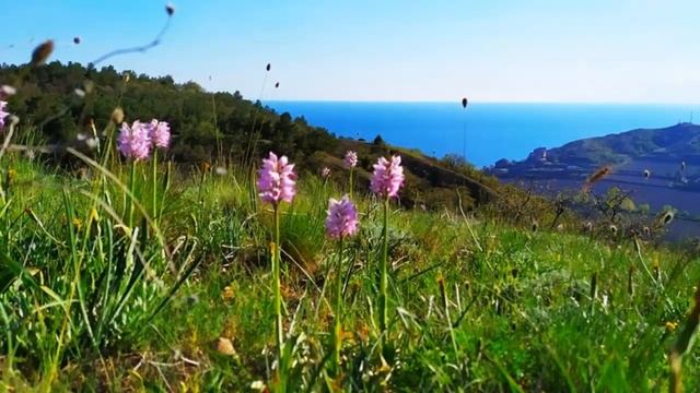 Сказочный сон смотреть онлайн