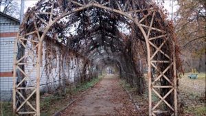 клинцы