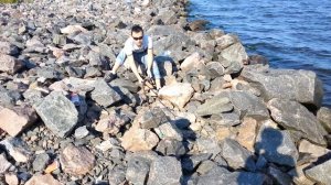 Рыбалка на финском заливе , дамба северная ветка