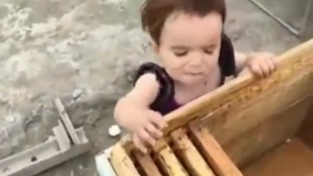 Заговоренная девочка! Пчелы ее не кусают! смотреть онлайн