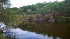 Футаж. Река. Footage. River