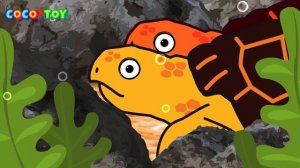50MinㅣA collection of 5 stories about animals adventure under the seaㅣSea animals for kidsㅣCoCosToy