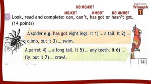 Spotlight 3. Module 5.  p. 86-87. Now I know 5.  ГДЗ.  Ответы и объяснение. Спотлайт  3 класс