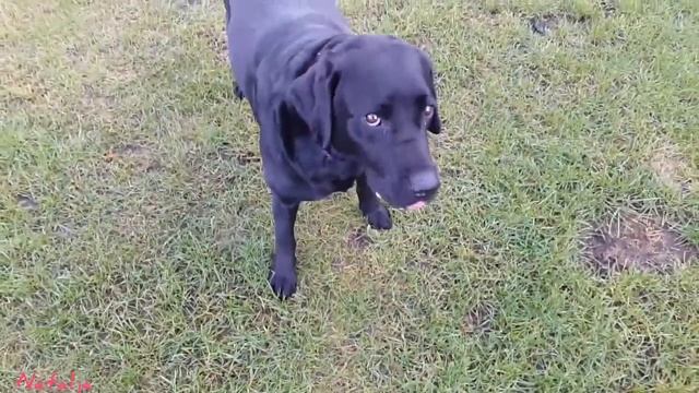 Предан людям и предан людьми/Стихи о жизни и отношениях. смотреть онлайн