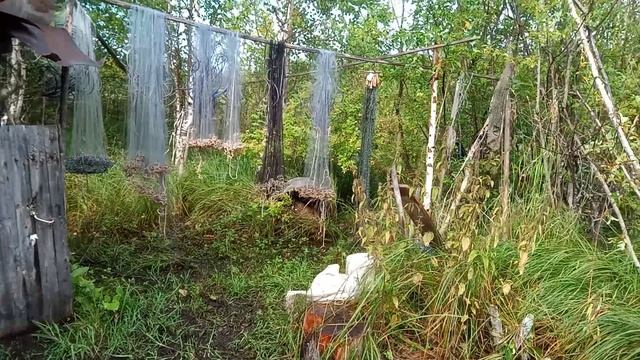 Поездка в Архангельскую область Часть 5