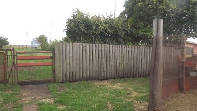 Дегельминтизация коз. Минитрактор Уралец 220. Яблоки. Чистка козовника. смотреть онлайн