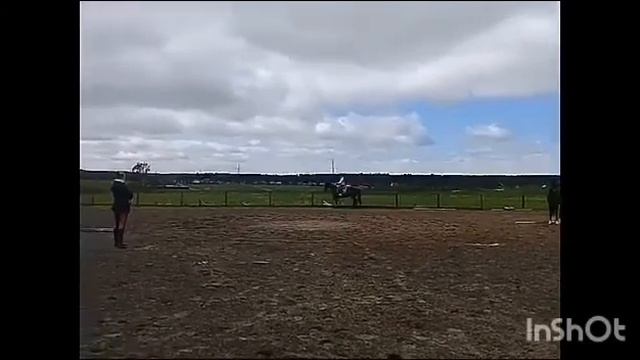 КОНОВЛОГ/Упала?/Камин/Рысак/Научила лошадь бегать галопом? смотреть онлайн