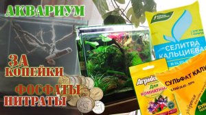 Исправляем фосфат нитрат в аквариуме, фосфат нитрат калий из садового магазина