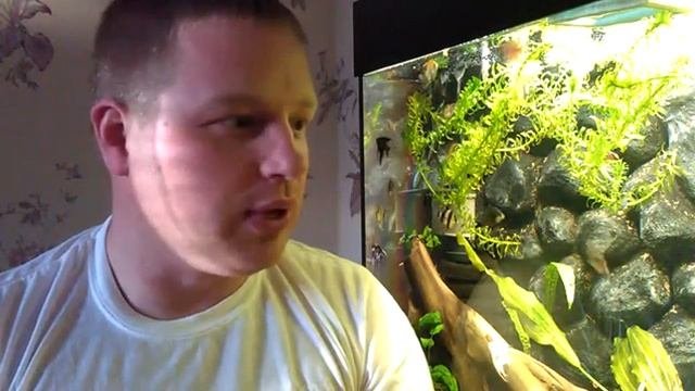 Лечение Гексамитоза препаратом  SERA BAKTOPUR DIRECT