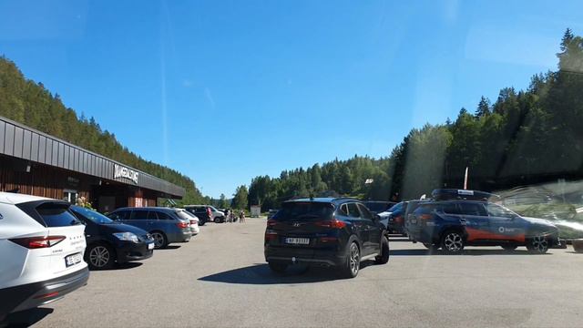 Бешенные цены на топливо в Норвегии! Сидите дома! Коты злые, жрать хотят! смотреть онлайн