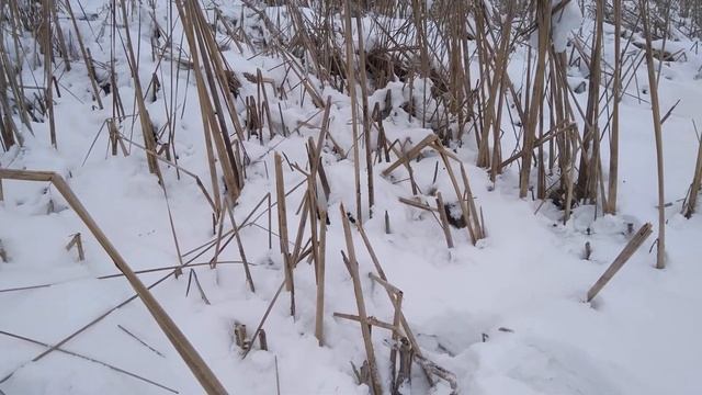 Синичка Украина Черкассы часть вторая смотреть онлайн