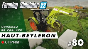 Farming Simulator 22 ● Карта Haut-Beyleron / стрим #80