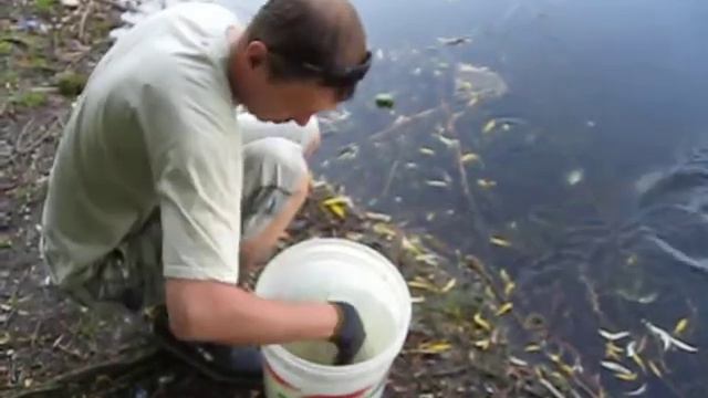 "Переселение душ" - плотва + густера (2-й гор. ставок 22.05.16) смотреть онлайн