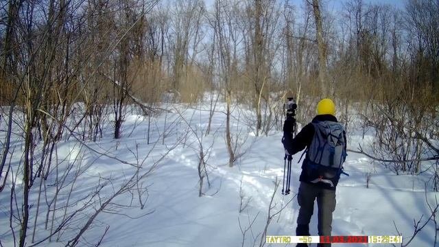 Оставил фотоловушку в диком лесу на 2 недели| Кто попал в кадр?