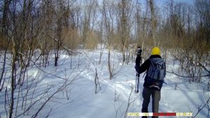 Оставил фотоловушку в диком лесу на 2 недели| Кто попал в кадр?