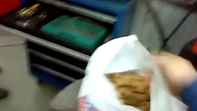 Мыша натаскала запасы орехов в прадик.