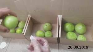 Действие дозревателей с этефоном на томатах.