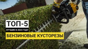 Рейтинг ТОП-5 лучшие бензиновые кусторезы | Лучшие в 2023 году