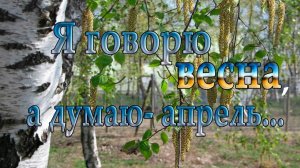 Я говорю- ВЕСНА, а думаю - АПРЕЛЬ*   Мой сад