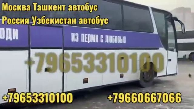 ТАКСИ МАСКВА-БУХОРО #андижон #прямой #срочна #мигрантов #санктпетербург #узбекистан +7966066.7066 смотреть онлайн