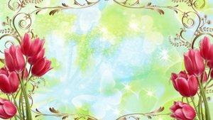 Футаж цветы, тюльпаны