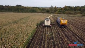 Сельское хозяйство - 2022