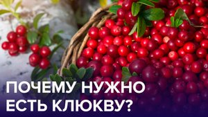 СЕРИАЛ: ОСЕННИЕ ЯГОДЫ ЗДОРОВЬЯ. КЛЮКВА | Доктор 24