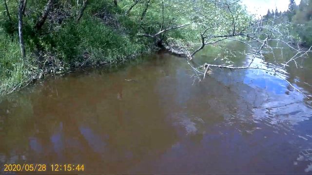 Речная змея чуть не отхватила ногу во время прогулки на сап серфе по реке Дубне в Московской област смотреть онлайн
