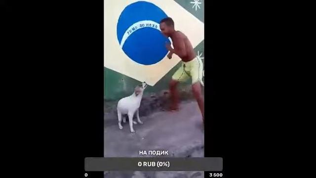 ШЛЕПА|FM