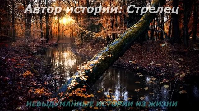 ?РОЖУ САМА?Истории из жизни?Аудио рассказ?Жизненные истории