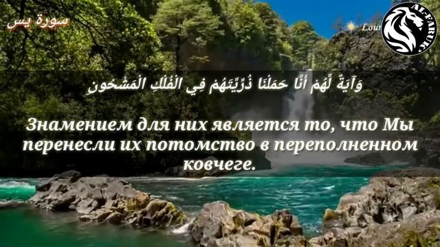 Сура 36 Ясин смотреть онлайн