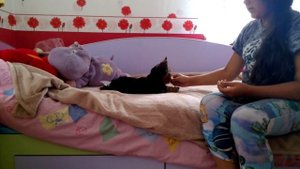 Как научить щенка команде сидеть, лежать.