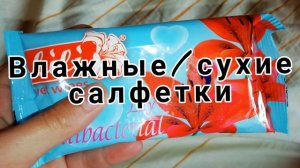 Что нужно для появления лили а доме? /Топ 5 вещей