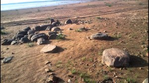 Весьегонск старый город