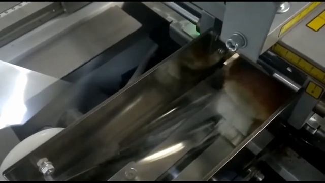 Упаковка булочек  (Упаковочная машина РТ-УМ-ГШ Серво)