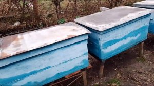 Немного из моего опыта борьбы с болезнями пчел на моей пасеке.В следующем ролике о нозема церана.