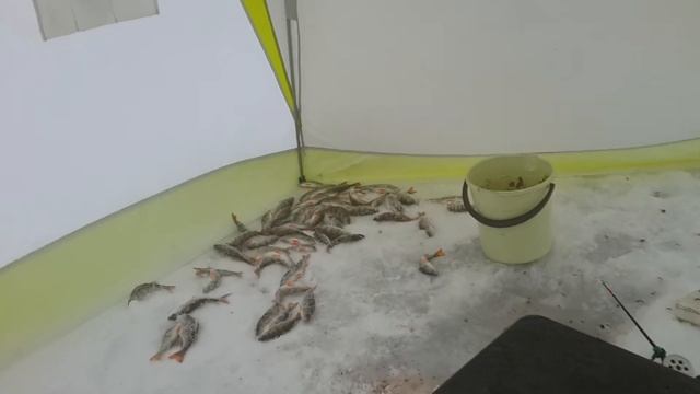 Погодка на рыбалке. Озеро Плещеево. смотреть онлайн