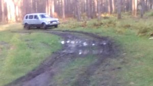 Нива 2131. По легкому бездорожью...