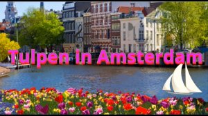 #Тюльпаны #Амстердама- мелодия песни #на #баяне Accordiola Jazzmaster.