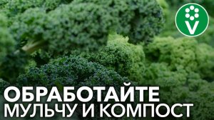 Почему ОРГАНИЧЕСКОЕ ЗЕМЛЕДЕЛИЕ ОПАСНО для здоровья