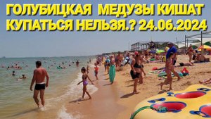 24 июня 2024 г. Огромные медузы! #Голубицкая. Люди не могут зайти в море!? Получают ожоги, все плохо