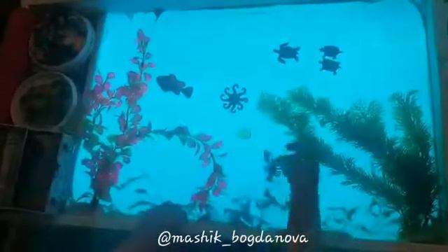 Игры с детьми: На дне моря. смотреть онлайн