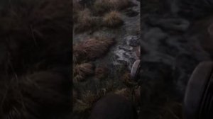 Езда по болоту на трицикле