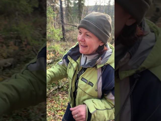 Охота, сентябрь 2020